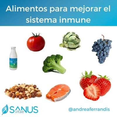 Alimentos para fortalecer tu sistema inmunológico