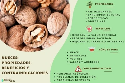 Beneficios de las nueces en tu dieta