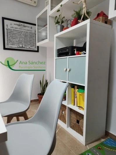 Ana Isabel Sanchez, Psicólogo