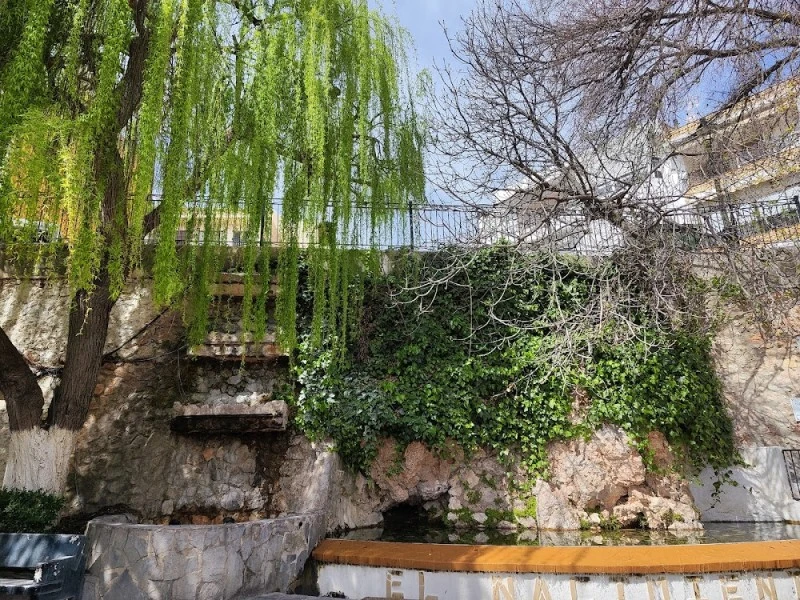 Belmez