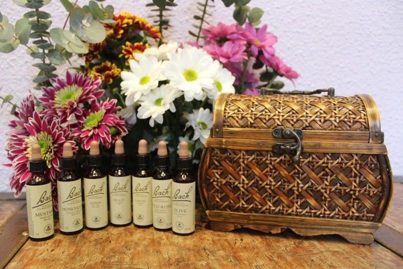 Centro Naturista Ailim Salud natural, desarrollo personal y terapias naturales