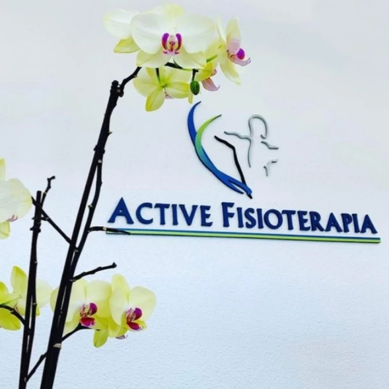 CLÍNICA ACTIVE Fisioterapia acupuntura radiofrecuencia ondas de choque