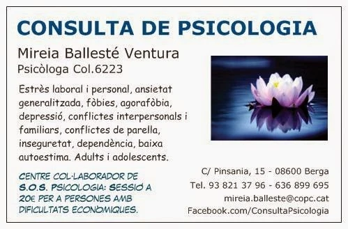 Consulta Psicologia: Mireia Ballesté