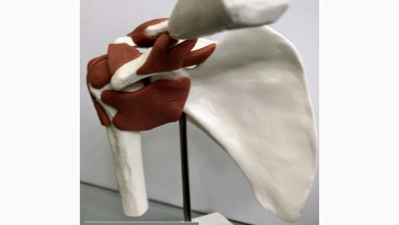 Fisioterapia Avanzada e Osteopatía Yanira Fernández LALÍN