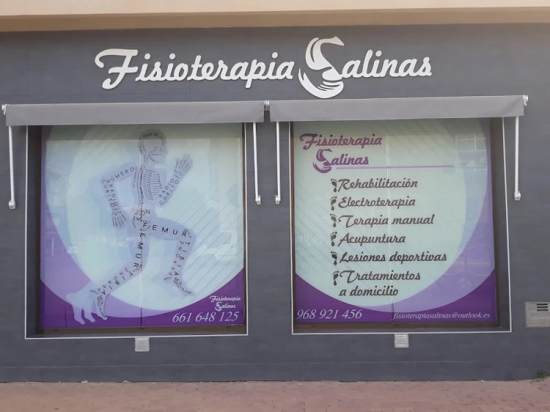 Fisioterapia Salinas