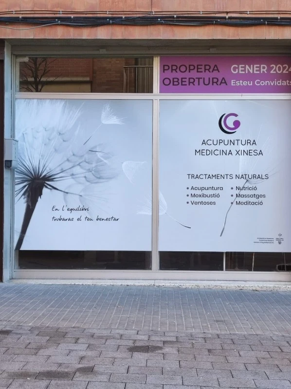 Gemma Capel - Medicina Xinesa - Acupuntura