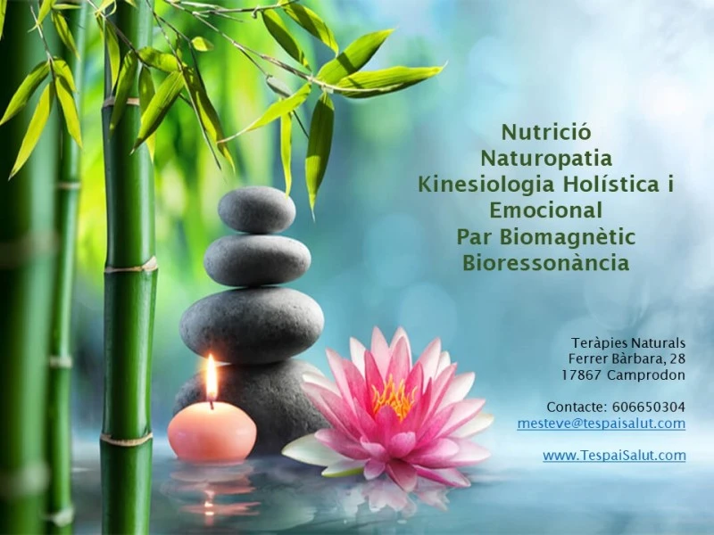 Kinesiologia holística, Par Biomagnètic, Bioressonància, Naturopatia