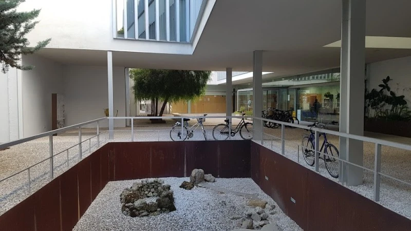 Lucano Centro de Salud