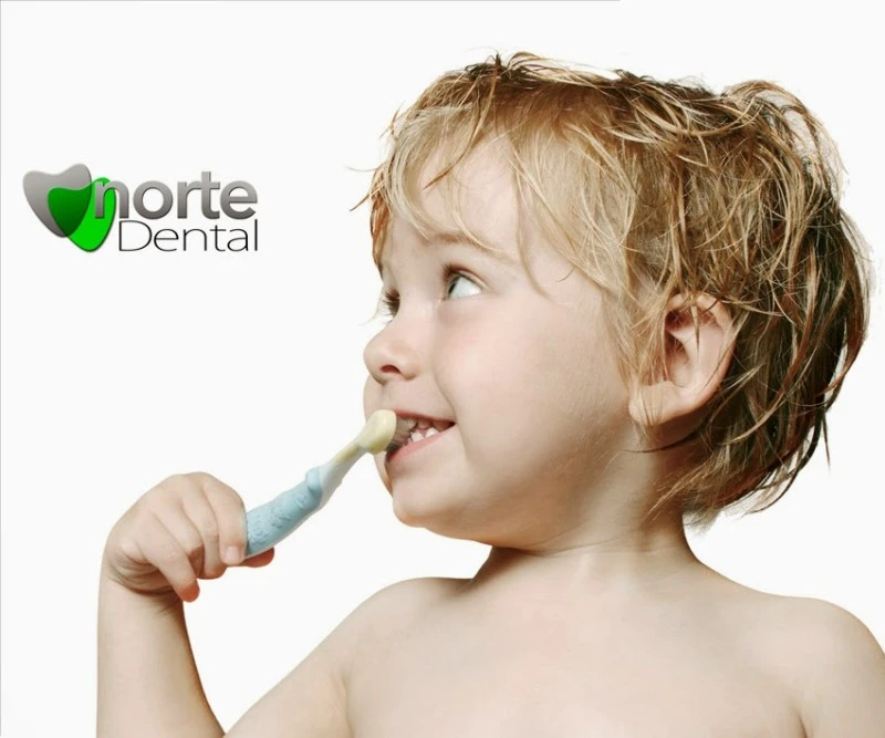 Norte Dental, Clínica Dental