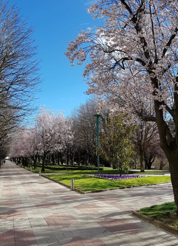 Centro de Especialidades La Condesa