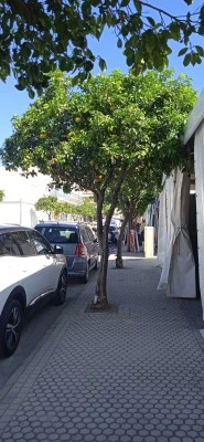 Ambulatorio Alameda