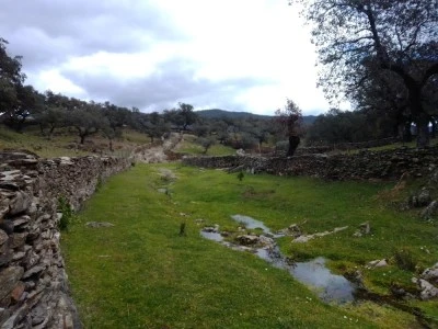 Arroyomolinos de León Consultorio