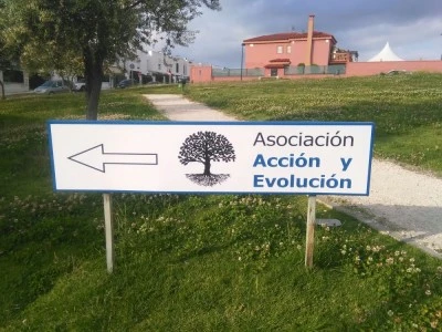 Asociación Acción y Evolución