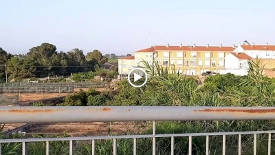 Benicull de Xúquer Consultori