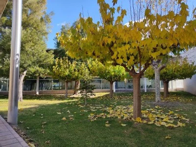 Centro Sanitario Integrado De Villena