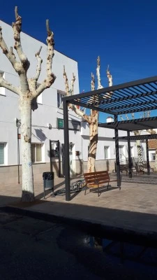 Consultorio Local Belicena