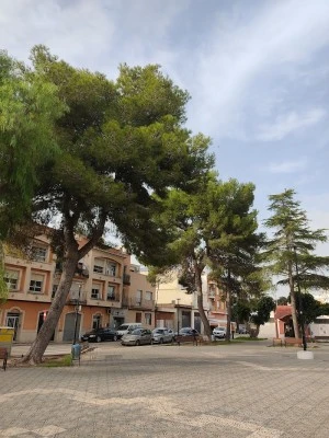 Consultorio Local Riola