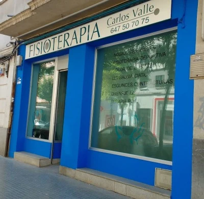 Fisioterapia Carlos Valle