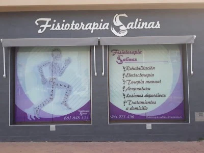 Fisioterapia Salinas