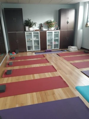 Gadalex Terapia