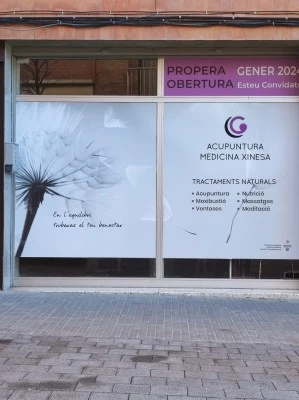 Gemma Capel - Medicina Xinesa - Acupuntura