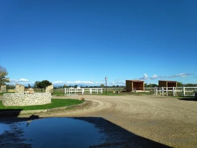 HOSPITAL CLÍNICO VETERINARIO VIRGEN DE LAS NIEVES