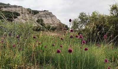 CAP de Sant Hipòlit