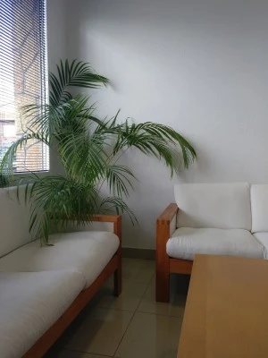 Isodental