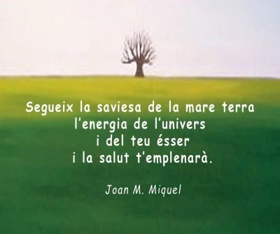 JOAN M. MIQUEL