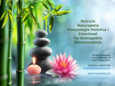 Kinesiologia holística, Par Biomagnètic, Bioressonància, Naturopatia