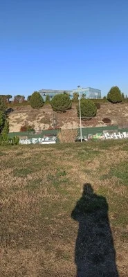 Estética