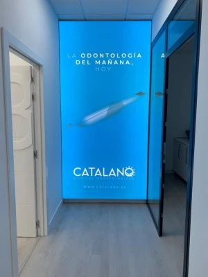 Catalano Daimiel
