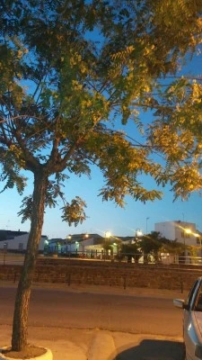 Plaza San Mateo