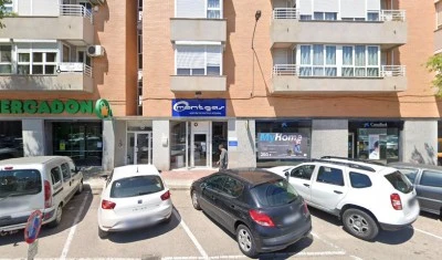 Psicología Canina Azul Belton