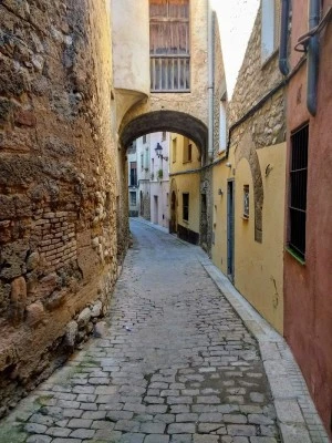 Sant Pere de Riudebitlles Consultori