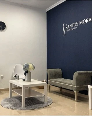 SANTOS MORA FISIOTERAPIA - Clínica de Fisioterapia en Tomelloso