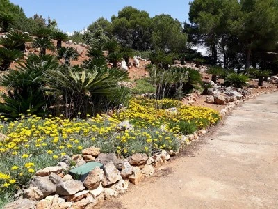 Unitat Bàsica de Salut de ses Salines