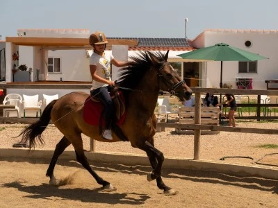 Centre Eqüestre Delta