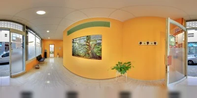 Centre LArbre
