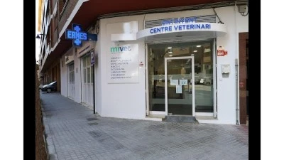 Centre Veterinari dOntinyent MiVet