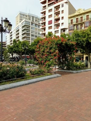 Centro de Vacunación Internacional